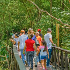 Tour Panoramico y Zoo por Cusco