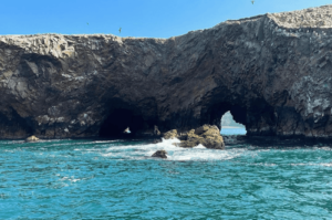 Islas Ballestas y Circuito de Playas